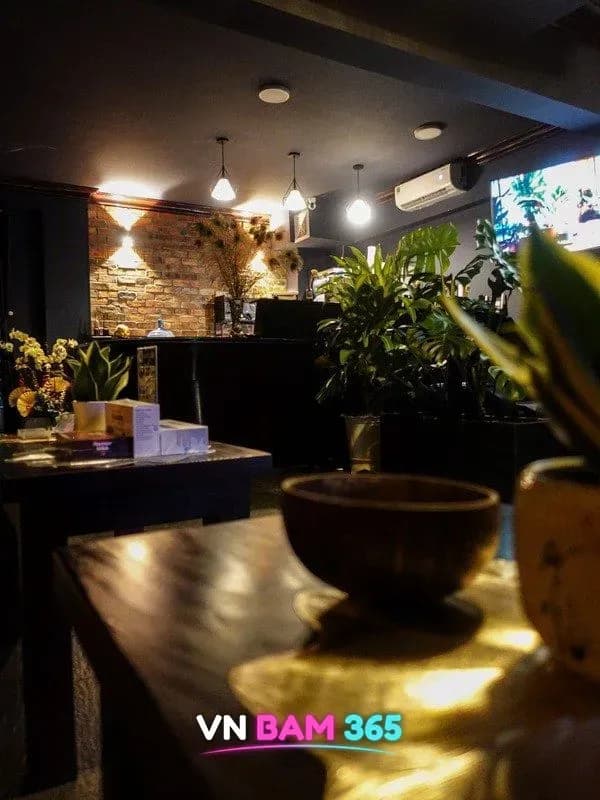 호치민 두리안 마사지 & 스파 리셉션의 벽돌 벽 카운터와 펜던트 조명, 화분